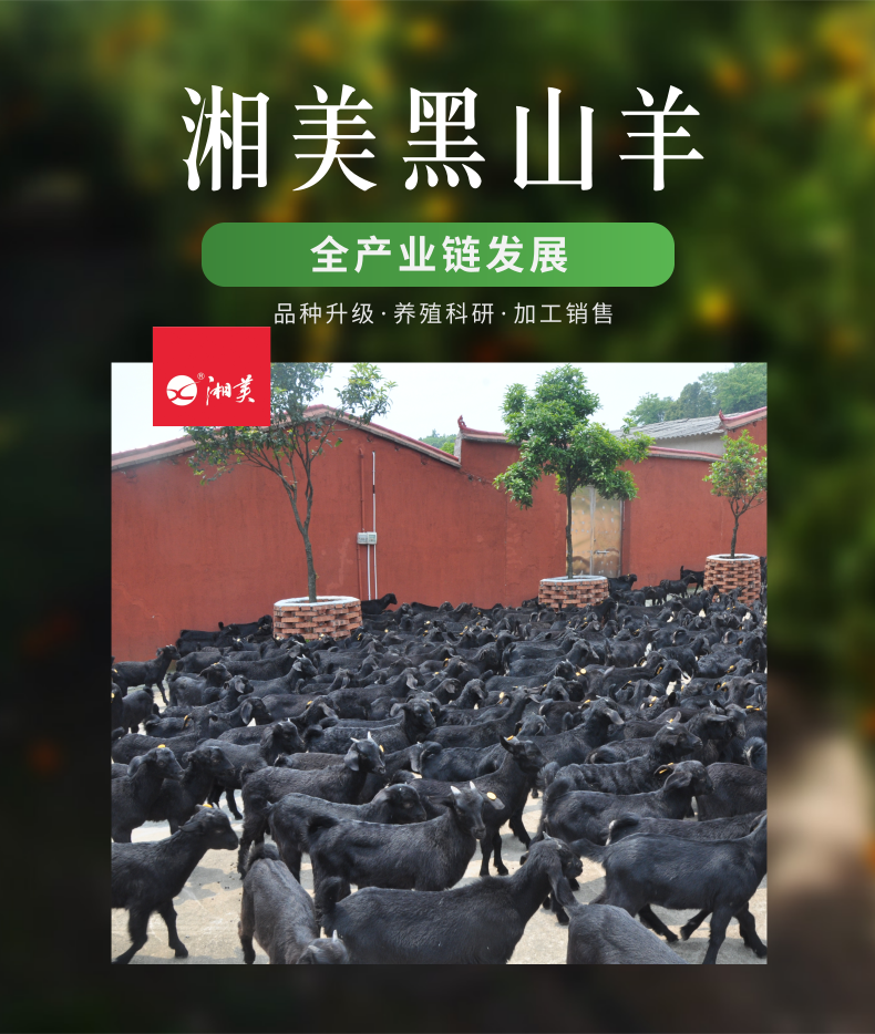 1611730567195612.png 全产业链介绍_1@凡科快图.png