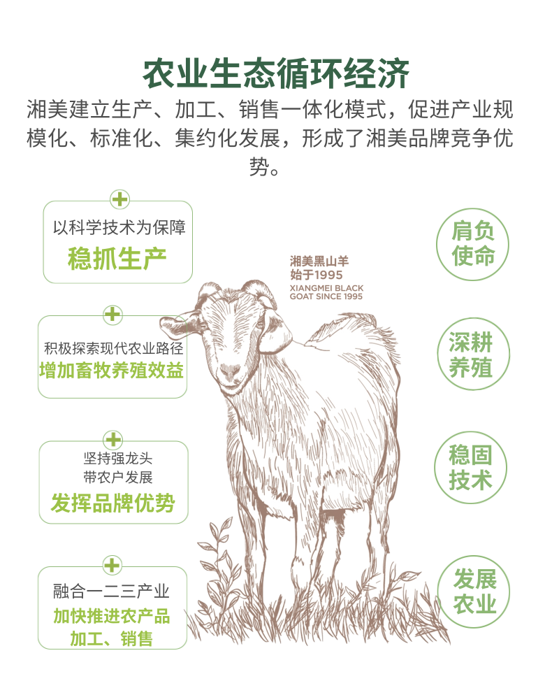 1611730598234429.png 全产业链介绍_2@凡科快图.png