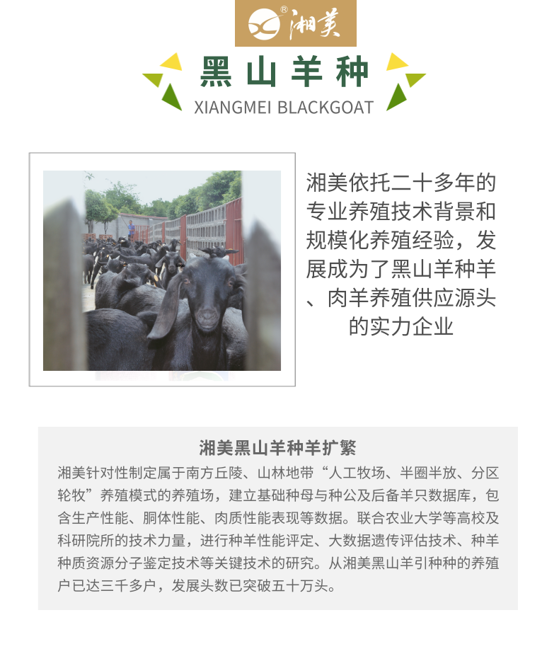 1611730612118368.png 全产业链介绍_3@凡科快图.png