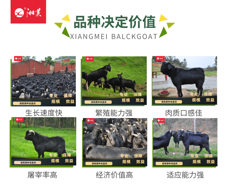 1611730628878917.png 全产业链介绍_4@凡科快图.png