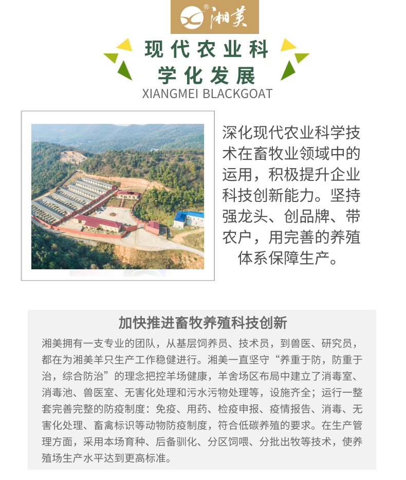 1611730642103987.png 全产业链介绍_5@凡科快图.png