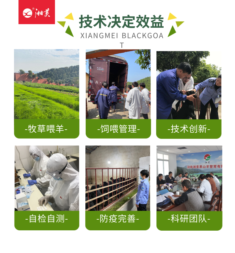 1611730659867942.png 全产业链介绍_6@凡科快图.png